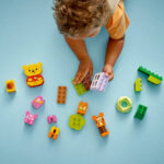 Petrecerea de ziua de nastere a lui Winnie de Plus, 10457, 22  piese - imagine 4