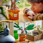 Matraguna, 76433, 579  piese - imagine 10