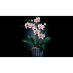 Orhidee﻿, 10311, 608  piese - imagine 10